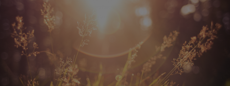 Air Source Heat Pumps and Water Source Heat Pumps – What Are They and How To Choose One?